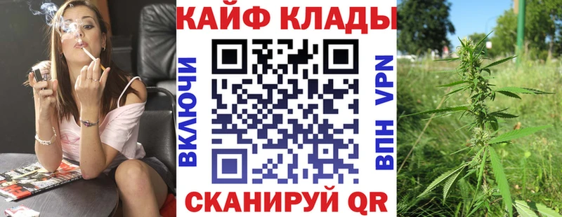  COCAIN Олонец