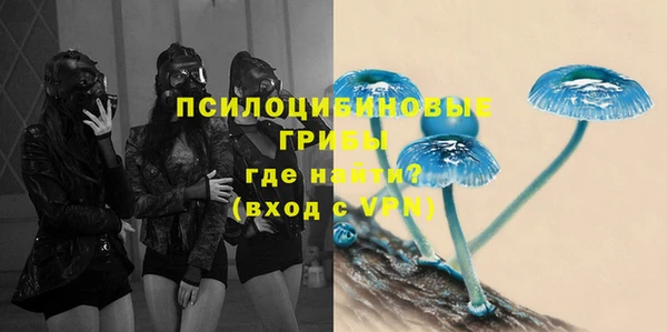 сатива Остров
