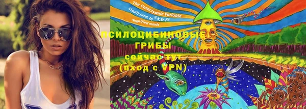прущая мука Осинники